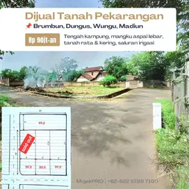 Dijual Tanah Pekarangan di Brumbun Madiun