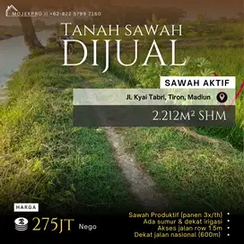 Dijual Tanah Sawah Aktif Dekat Jalan Nasional