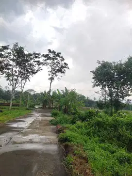 Tanah Murah Area Ngemplak Cocok Kos-kosan Dan Rumah Tinggal