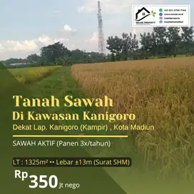 Tanah Sawah Dekat Lapangan Kampir, Kojo
