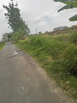 Dijual tanah pertanian subur dimatesih karanganyar