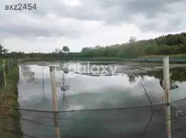 JUAL TANAH TAMBAK 4,5 HA TANAH MERAH SUMENEP MADURA