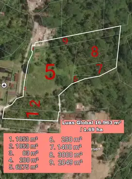 Tanah Los Tebing Sungai Wos Payangan Ubud