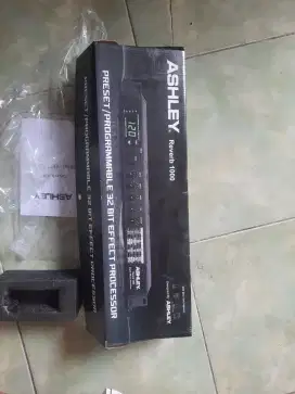 Ashley Reverb 1000 + dbx 166XL
