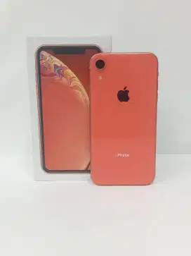 iphone Xr 128gb Coral
inter Regist Beacukai