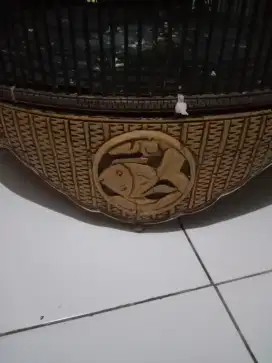 Kandang muray msh enak di pandang