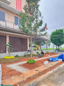 Jasa pemasangan taman rumput
