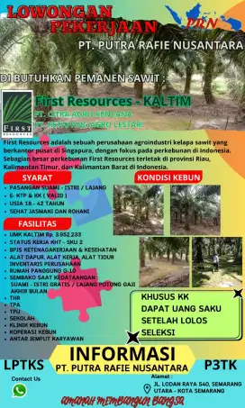 loker di perkebunan kelapa sawit
