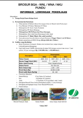 loker di perkebunan kelapa sawit
