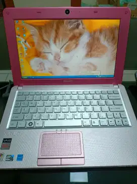 Notebook Sony Vaio VPCW115XG