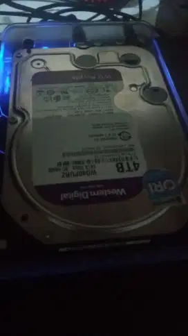 Hardisk 4TB INT 3.5 WDC BF256 PURPLE SATA