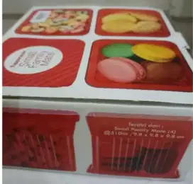 Tupperware small family mate