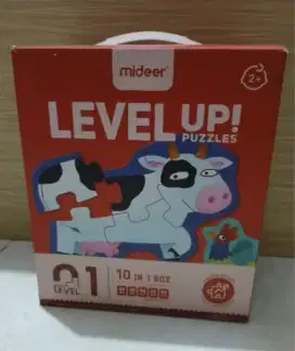 Mideer level up puzzle