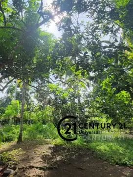 Tanah Bisa Untuk Cluster Di Manado