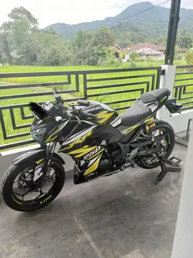 Motor Kawazaki Z250 - 2018, spec standar, km 0-5000