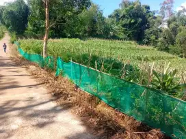 Jual Tanah Murah dan Luas Pinggir jalan desa area Ciwidey