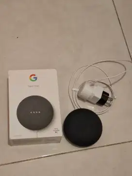 GOOGLE NEST GOOGLE HOME Speaker smart home