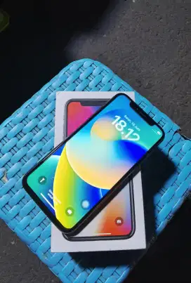 Ip x 256gb murmer