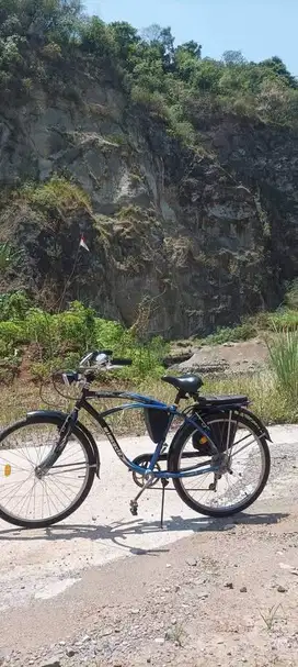 Sepeda Lowrider Cruiser