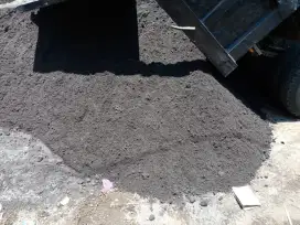 Pasir Lumajang asli langsung dari tambang