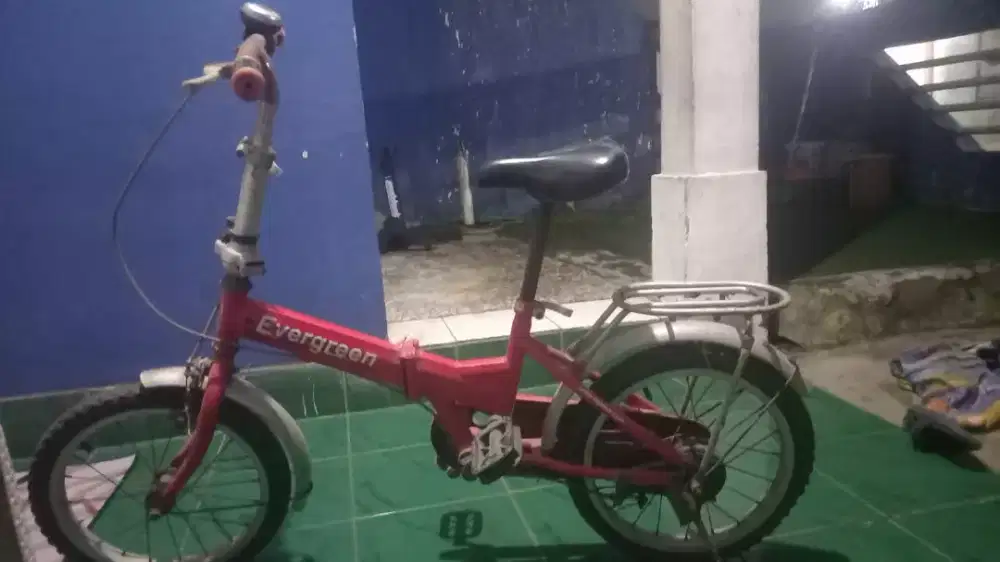 Sepeda Anak Evergren