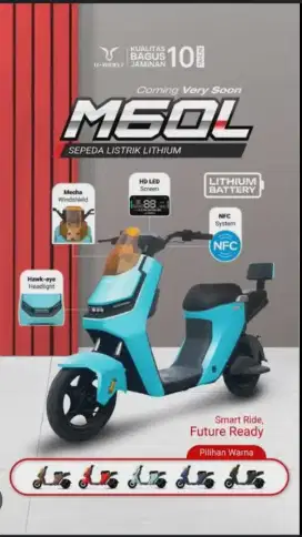 Sepeda listrik UWINFLY M60L