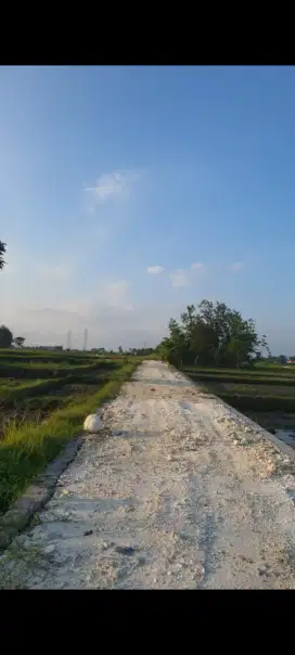 Dijual tanah murah, 2 are dekat rs kapal badung bali