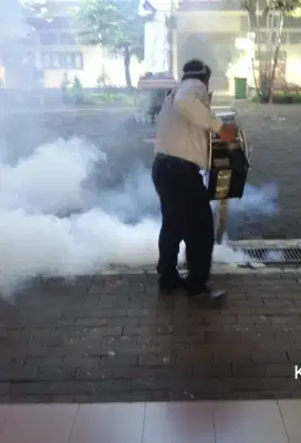 Jasa fogging nyamuk dan pest control