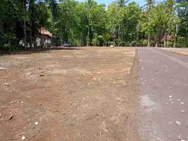 Tanah Murah Cocok Investasi Dekat Bandara NYIA Kulonprogo
