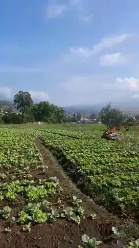 TANAH VIEW ISTIMEWA LOKASI BELAKANG BALAI KOTA BATU