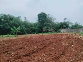 Pembersihan Lahan dari kami anda siap bangun. Area Cikeas dekat Brimob