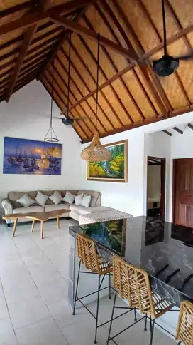 Villa Luas cozy Leasehold Tibubeneng Canggu Bali