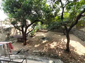 Rumah tua hitung lahan di Pejaten Raya Murah Murah