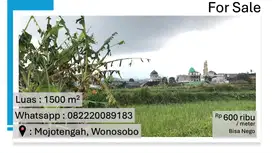 Dijual Tanah Strategis 1500 m² di Wonosobo – Siap untuk Investasi