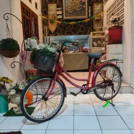 Sepeda keranjang 24 inch