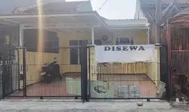 DIKONTRAKAN PERUMAHAN ELIT CITRA GARDEN 1 EXT BARU RENOVASI ISTIMEWA
