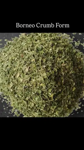 Teh borneo varian remahan 1 kg