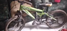 mtb 20 wymcycle