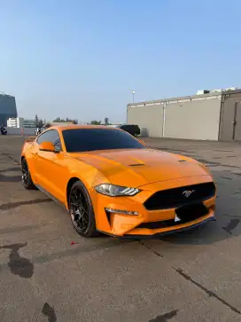 Ford Mustang 2019 Ecobus Orange