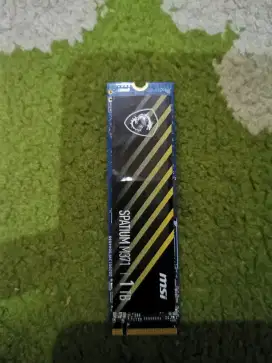 Jual SSD NVME MSI 1 TERA
