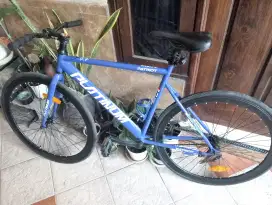 Sepeda fixie platinum