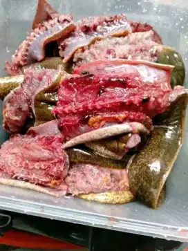 Belut geprek bahan olahan segar