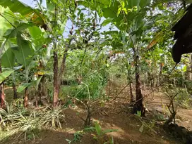 Tanah Dijual di Area Cigombong