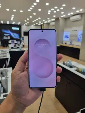 Samsung Galaxy S25