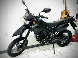 kawasaki D tracker 250