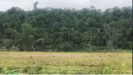 Dijual Tanah dikawasan industri Millenium Tigaraksa - Tangerang