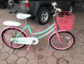 Jual mini pacific 20 inch