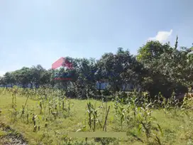 DIJUAL Tanah dalam Perumahan Dekat Sudimoro Dekat Kampus ASIA Malang