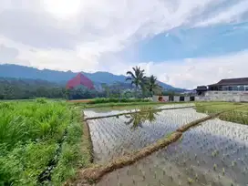 Tanah Luas Daerah Ngantang Jalur Utama Batu-Jombang