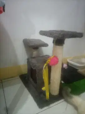 Rumah kucing mainan kucing